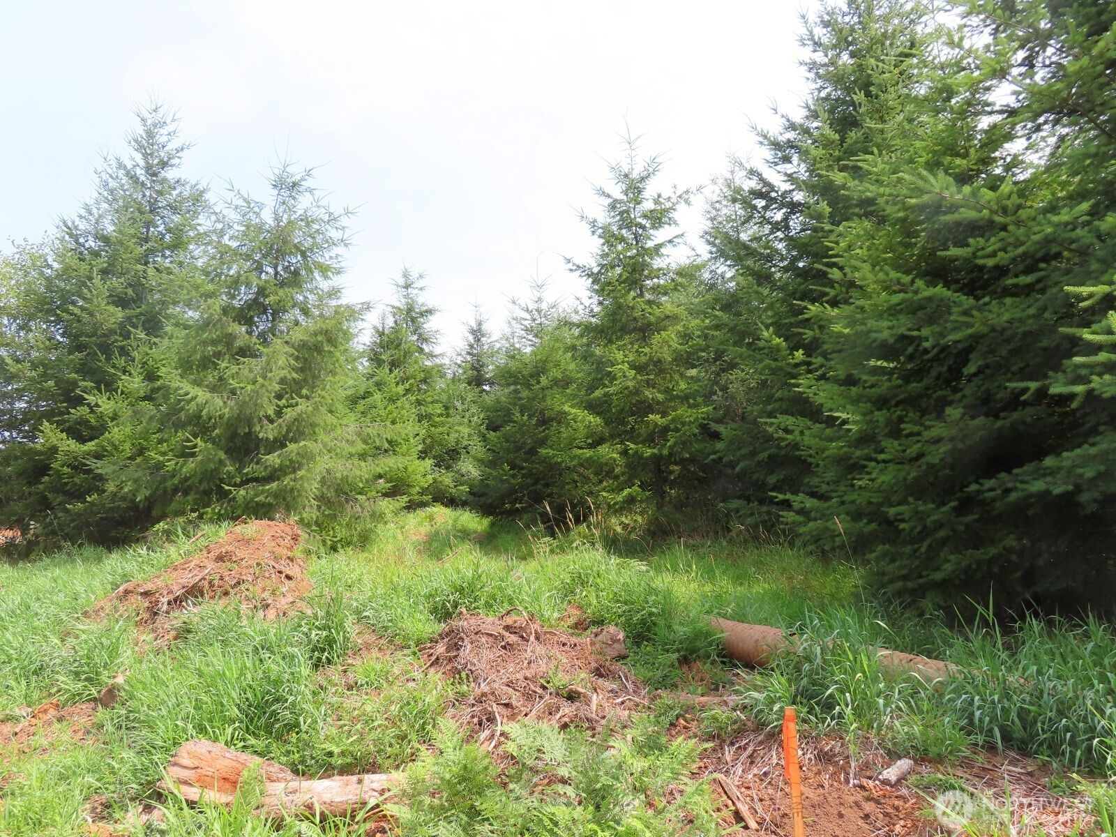 -lot D Mill Creek Road Longview, WA 98632 - Photo 11 of 25 a view of a lake with green space