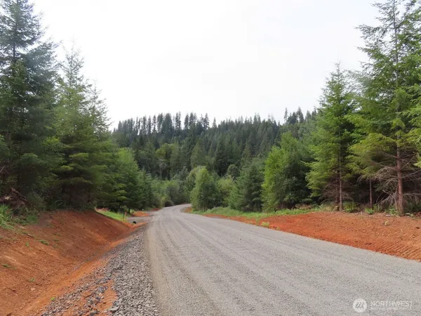 a view of a rural road with plants and trees