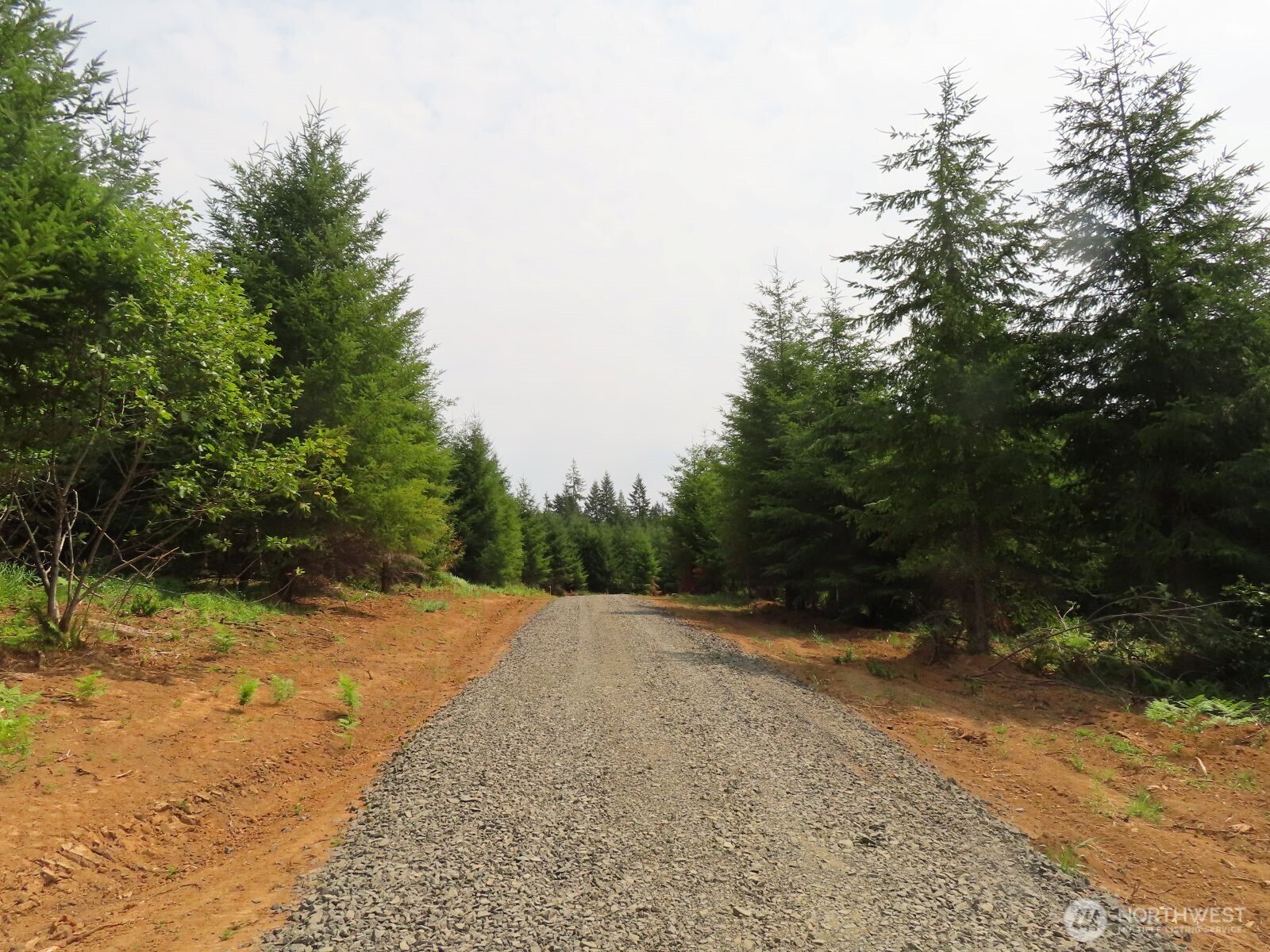 -lot D Mill Creek Road Longview, WA 98632 - Photo 22 of 25 a view of a field with trees in the background