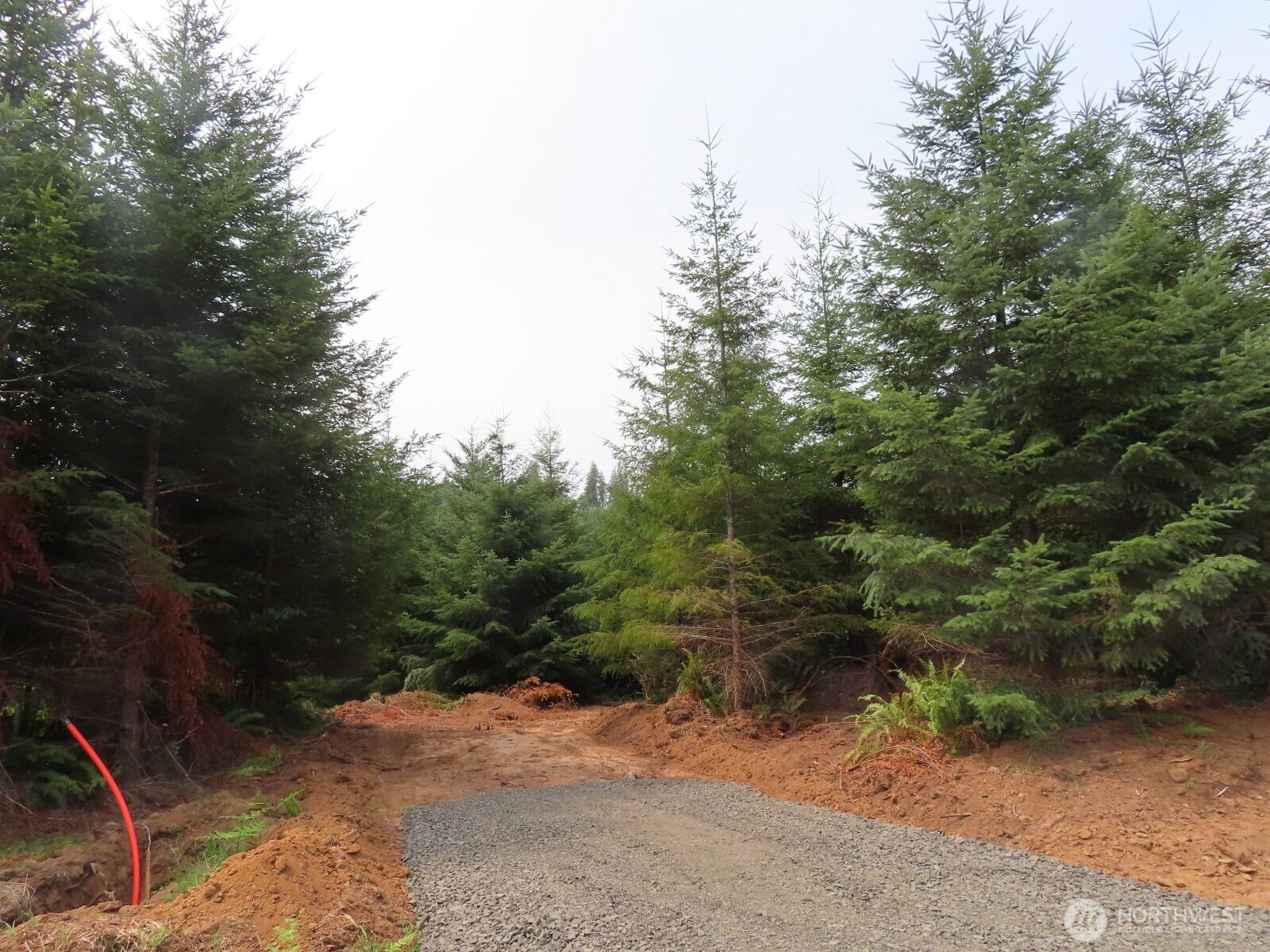 -lot D Mill Creek Road Longview, WA 98632 - Photo 23 of 25 a view of a road with trees in the background