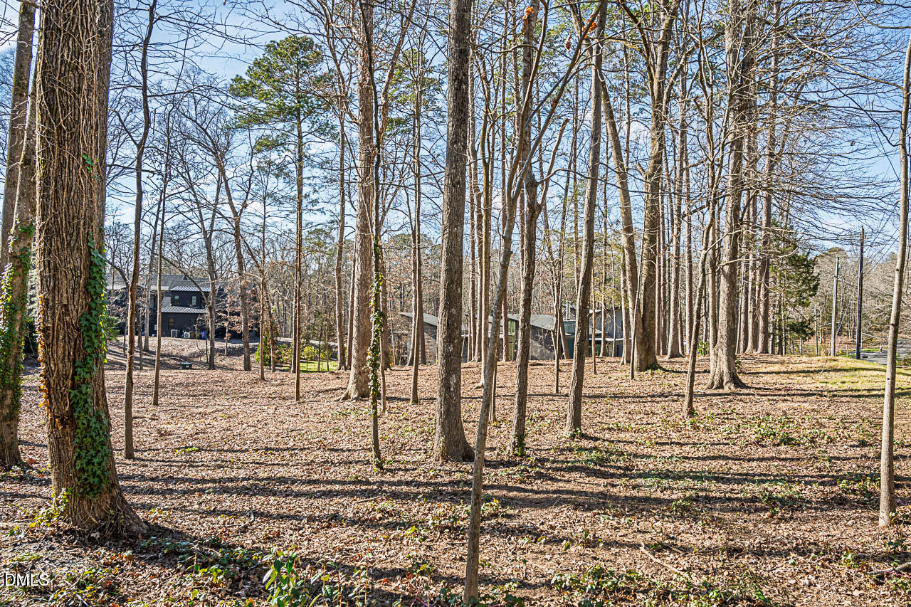 4014 Nottaway Road Durham, NC 27707 - Photo 1 of 12 a view of a backyard