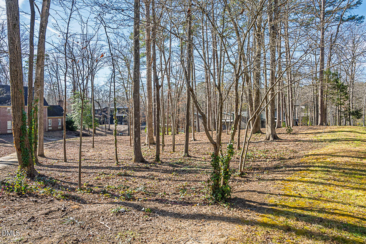 4014 Nottaway Road Durham, NC 27707 - Photo 6 of 12 a view of a yard with trees