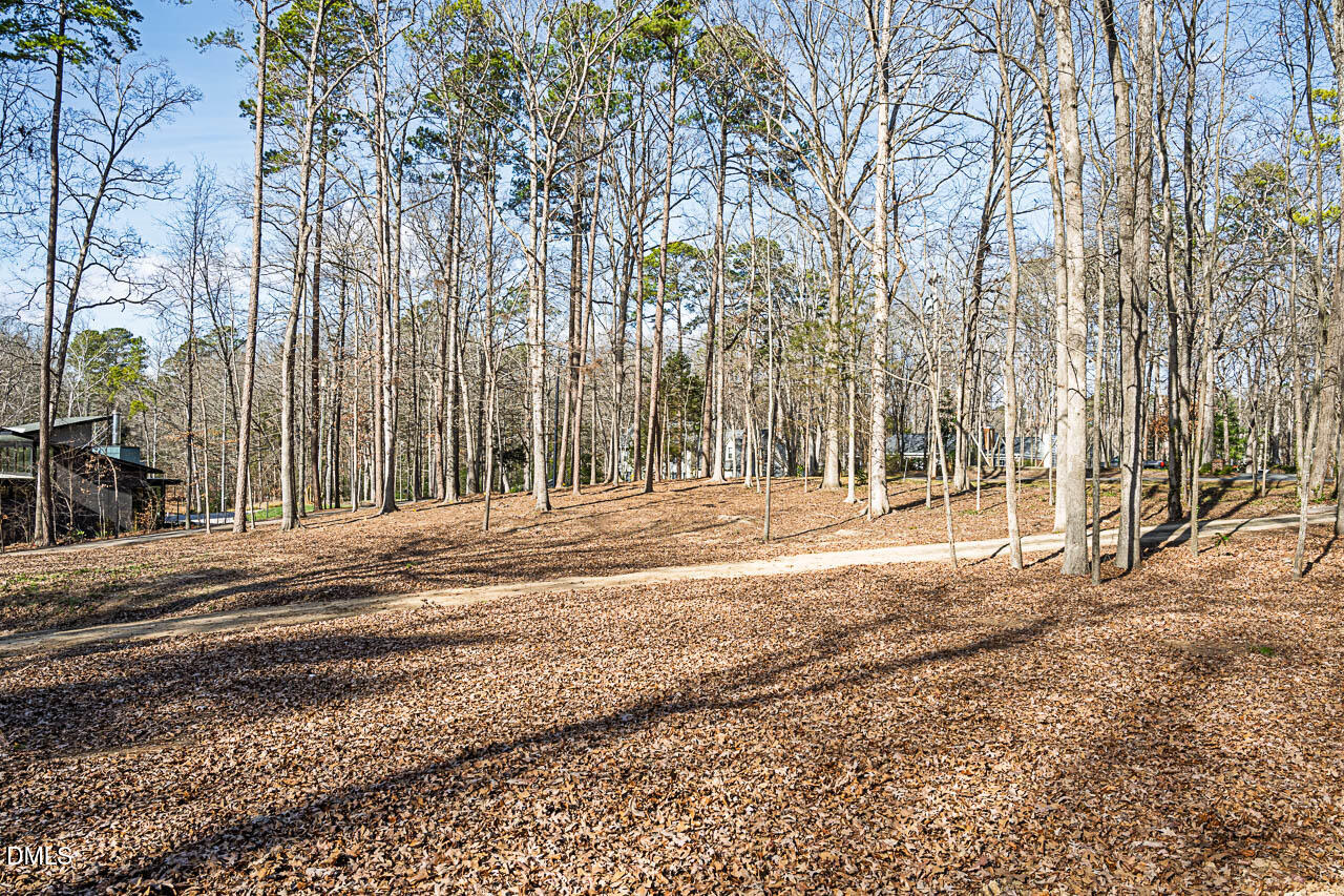 4014 Nottaway Road Durham, NC 27707 - Photo 6 of 15 a view of street with large trees
