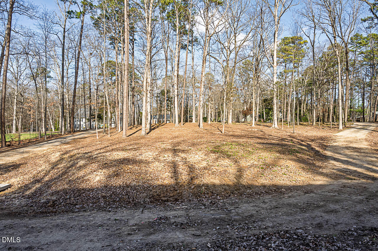 4014 Nottaway Road Durham, NC 27707 - Photo 7 of 15 a view of dirt yard with a large trees