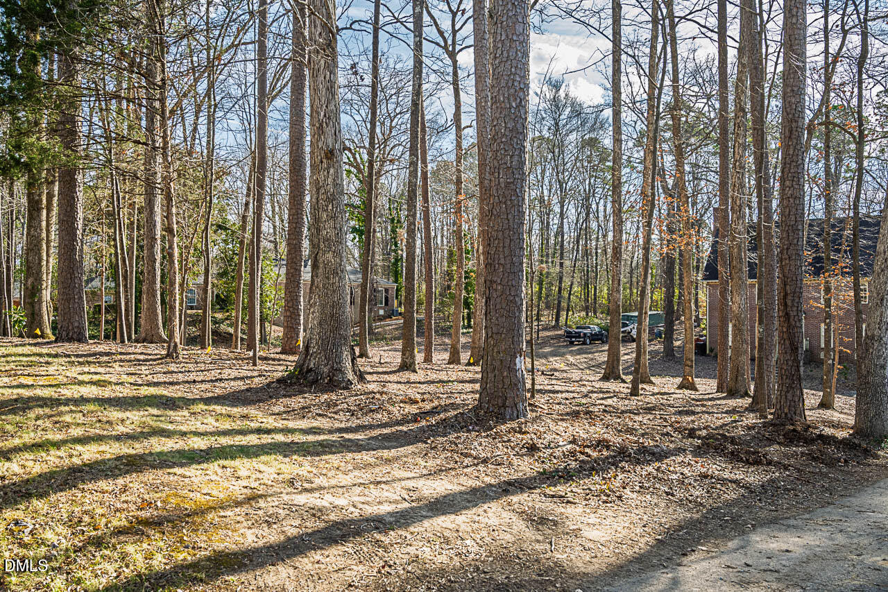 4014 Nottaway Road Durham, NC 27707 - Photo 10 of 12 a view of outdoor space with street view