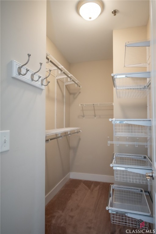 1040 Gaines School Road, Unit 223 Athens, GA 30605 - Photo 5 of 30 owner's walk-in closet