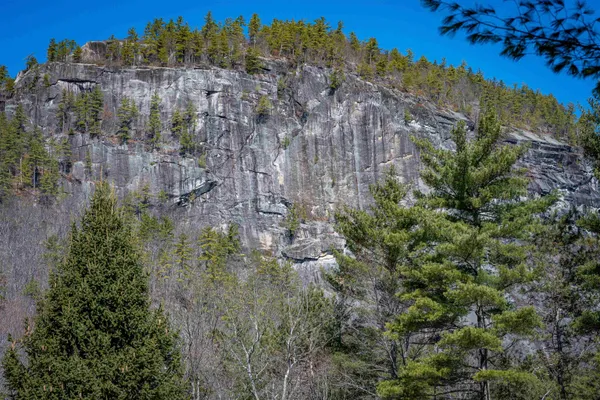 $925,000 | 18 Falcon Way, Hale's Location, NH 03860