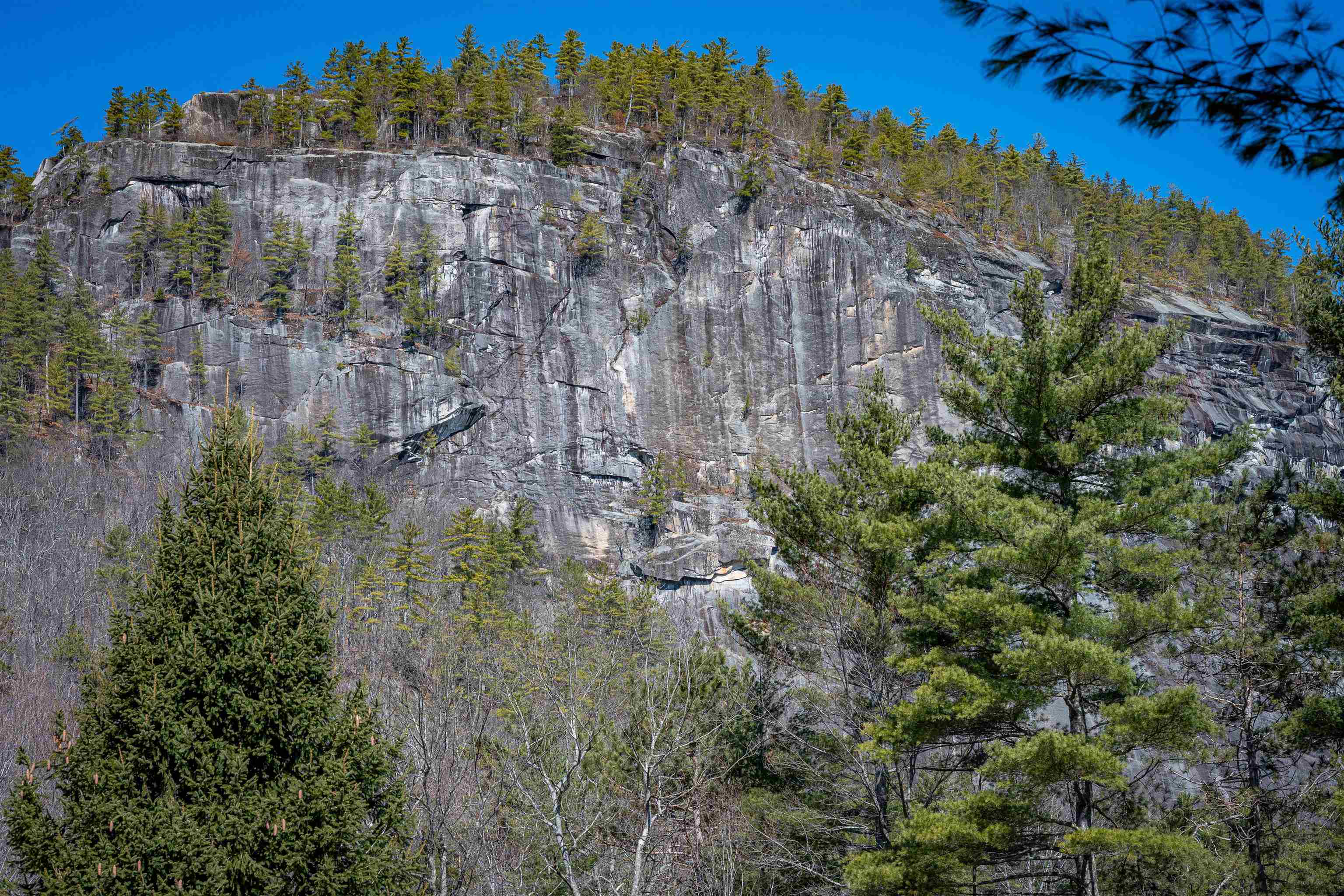 18 Falcon Way Hale's Location, NH 03860 - Photo 33 of 40