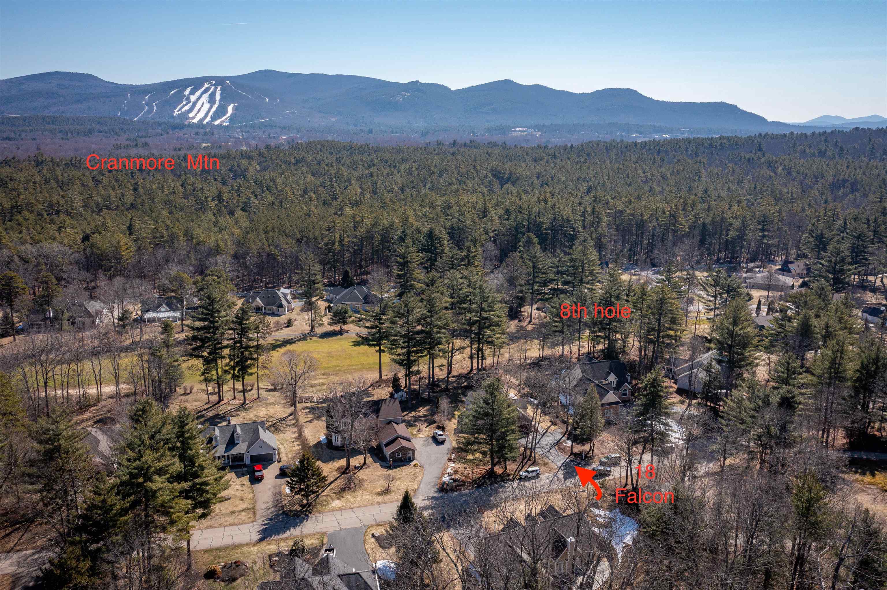 18 Falcon Way Hale's Location, NH 03860 - Photo 34 of 40