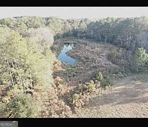 a view of a yard with lots of trees