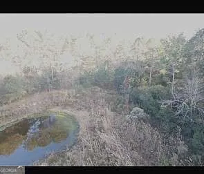 a view of a dry yard