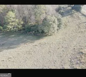 a view of a dry yard