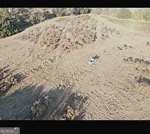 a view of a dry yard