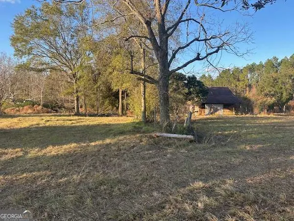 a view of dirt yard with a large tree