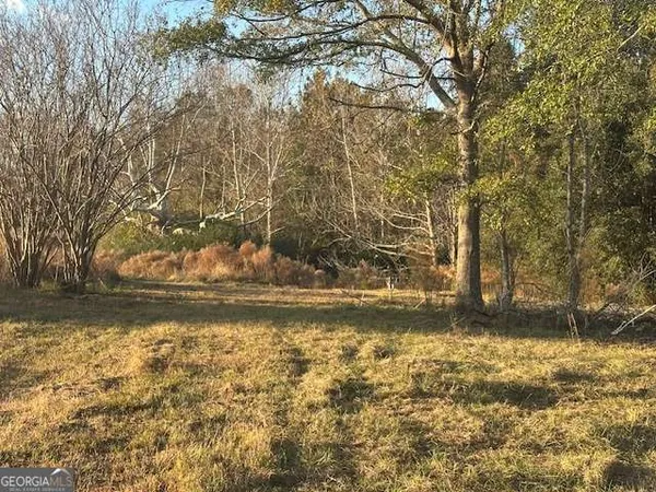 a view of a yard with large trees