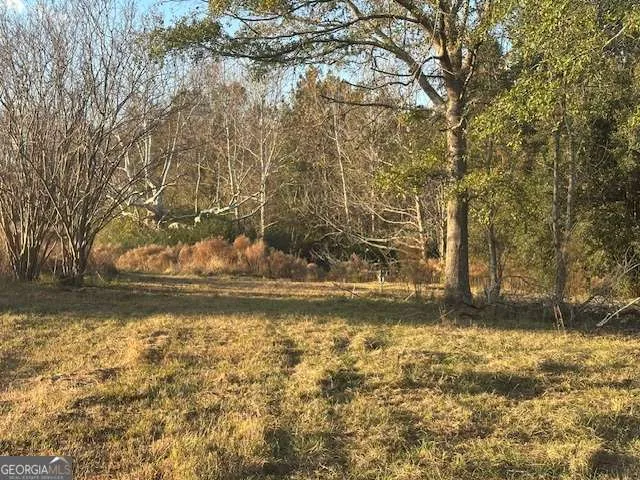 a view of a yard with large trees