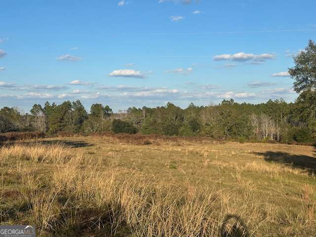 8893 Sunbury Road Claxton, GA 30417 - Photo 4 of 19 a view of lake view and mountain view