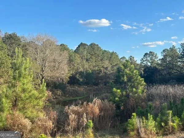 a view of a lake in middle of forest