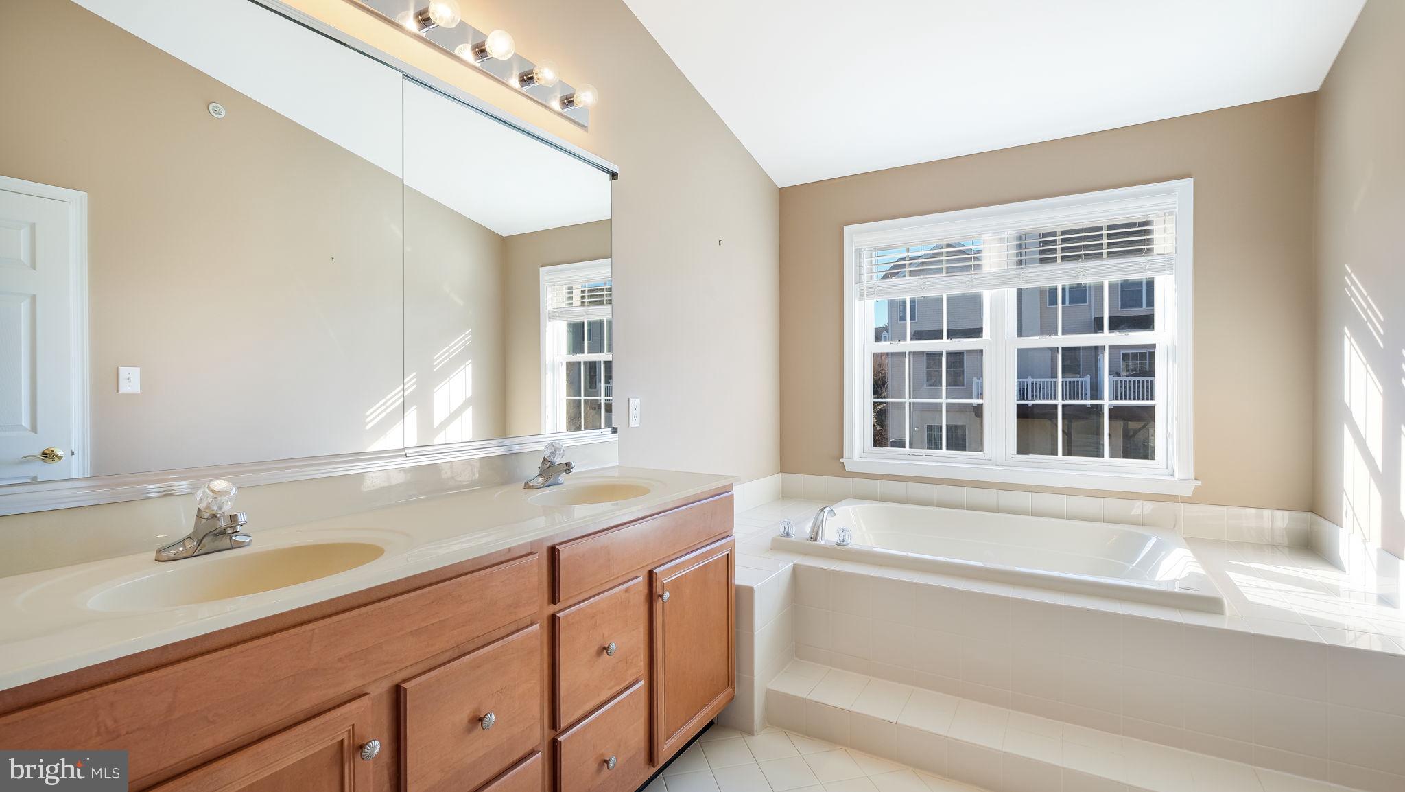2372 Dorchester Street West, Unit W Furlong, PA 18925 - Photo 27 of 41 a bathroom with a granite countertop sink and a bathtub