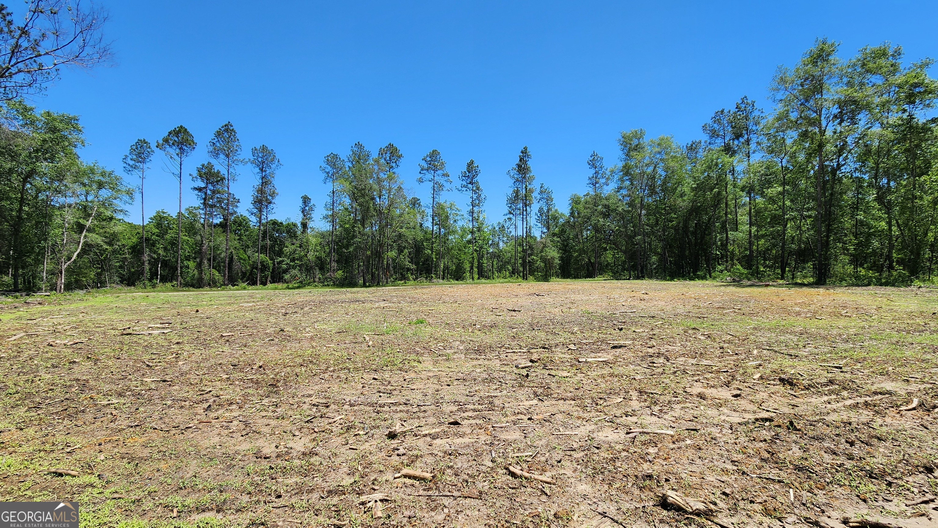 0 Robinson Road Baconton, GA 31716 - Photo 18 of 47 a view of a yard