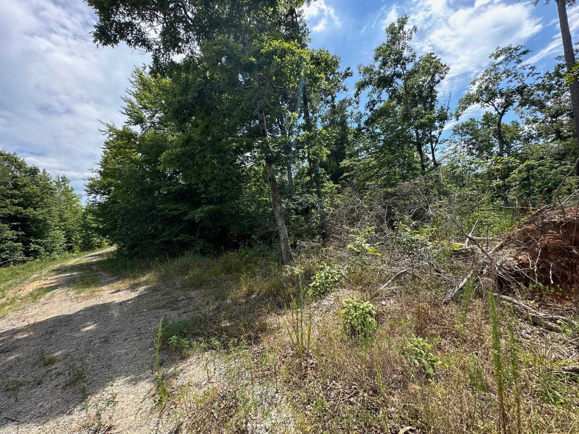 17 Bruton Road Savannah, TN 38372 - Photo 11 of 13 View of landscape