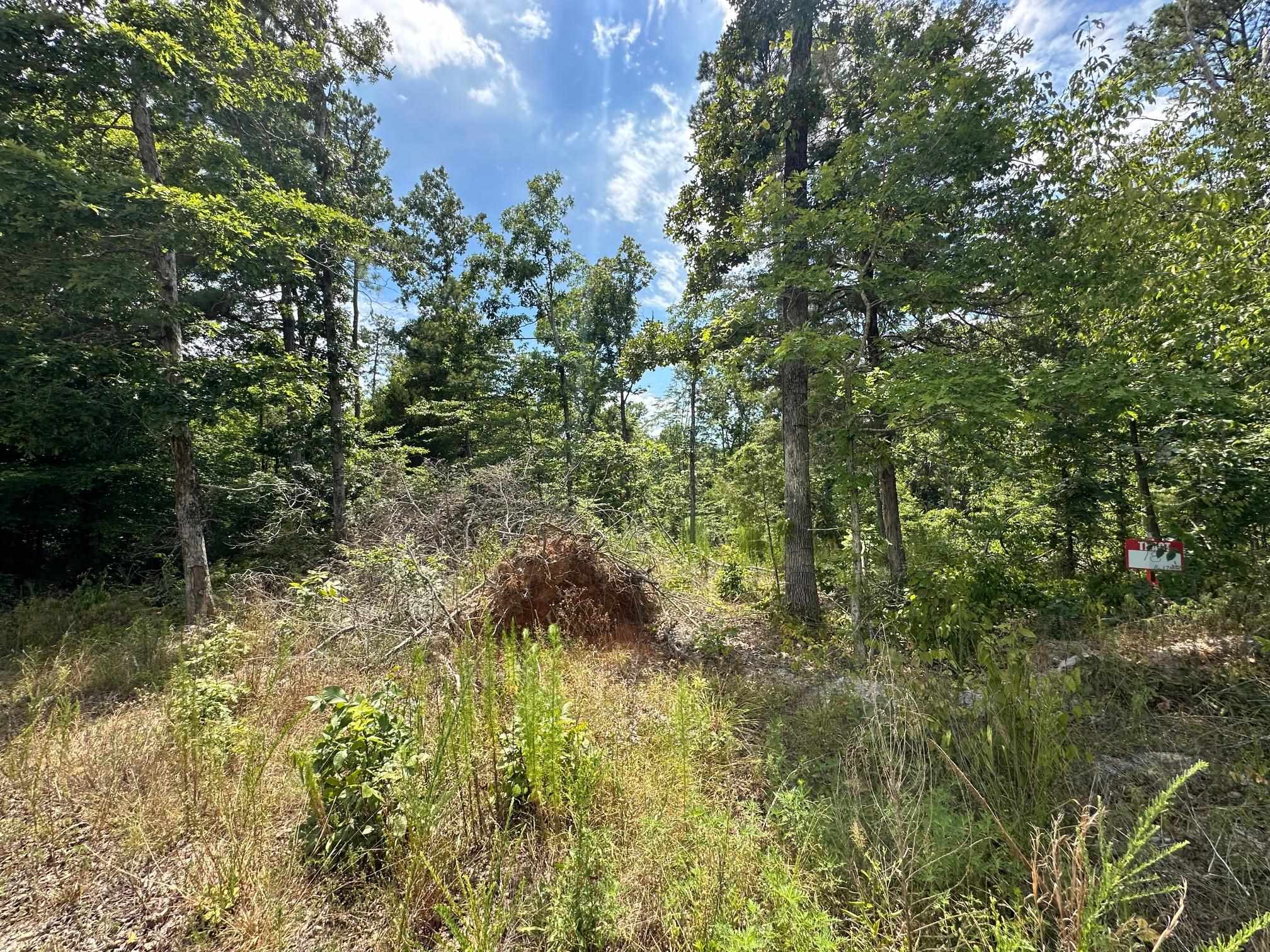 17 Bruton Road Savannah, TN 38372 - Photo 12 of 13 View of landscape