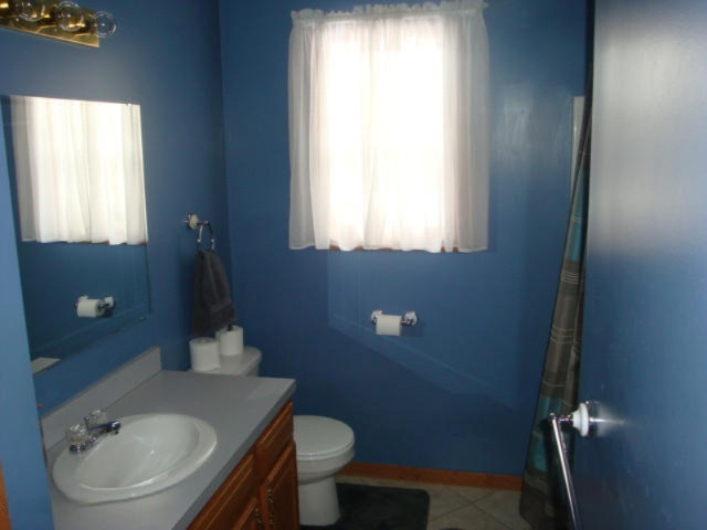 16332 Tamarack Road Howard City, MI 49329 - Photo 11 of 23 12