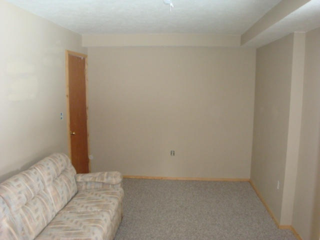 16332 Tamarack Road Howard City, MI 49329 - Photo 16 of 23 17