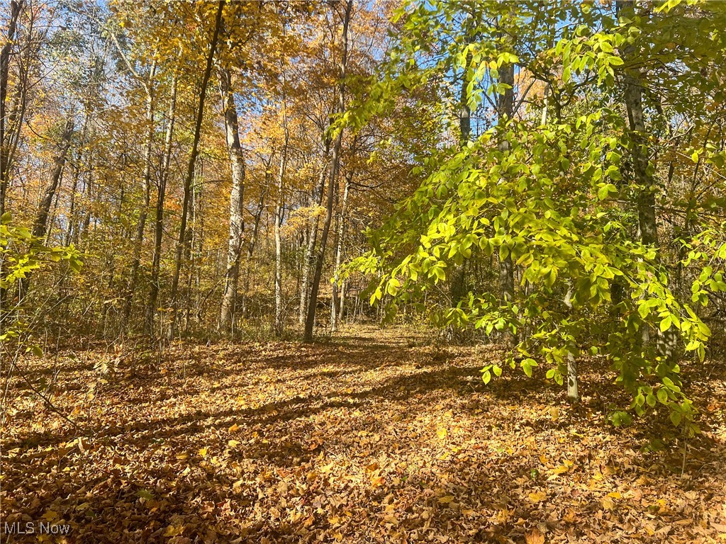 0 Roberts Road Amesville, OH 45711 - Photo 8 of 39 View of local wilderness