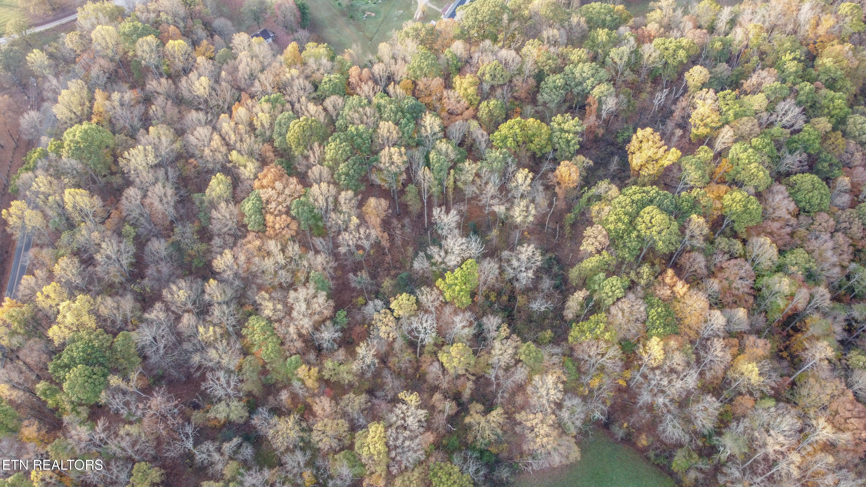 Lot 4 Parcel 059 040.02 Road Englewood, TN 37329 - Photo 12 of 12 lot 1-3