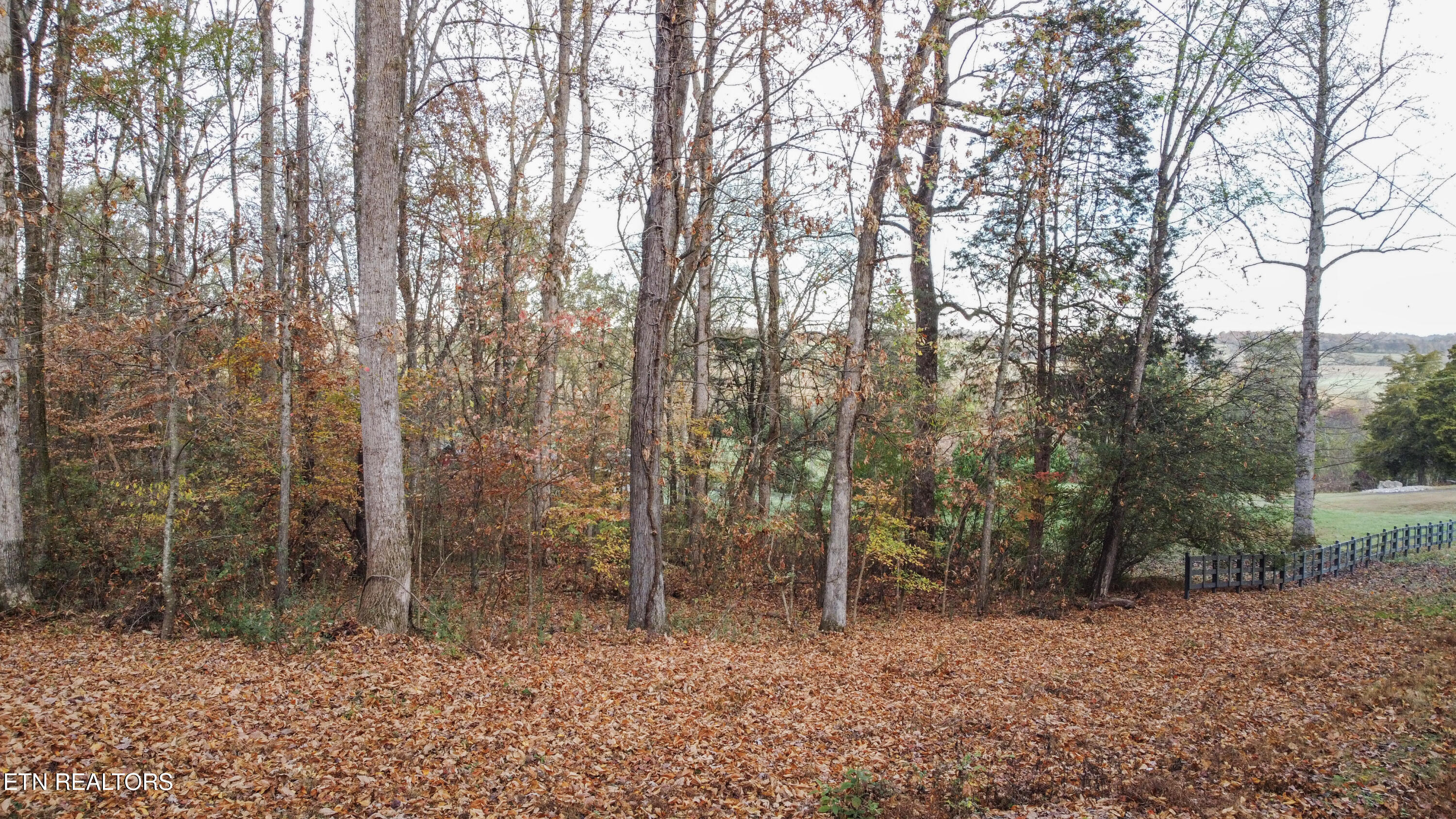 ground 1