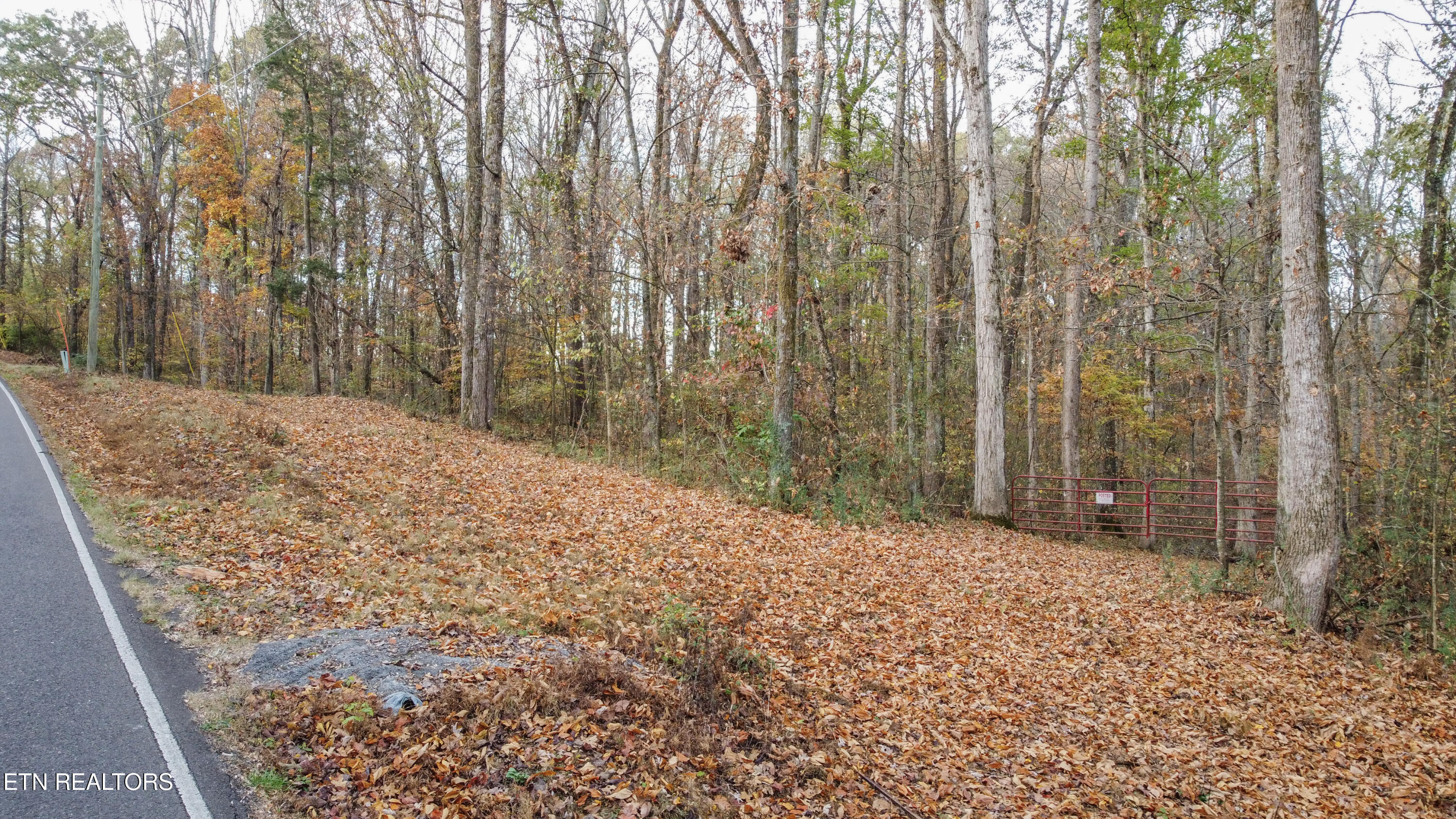 ground 3