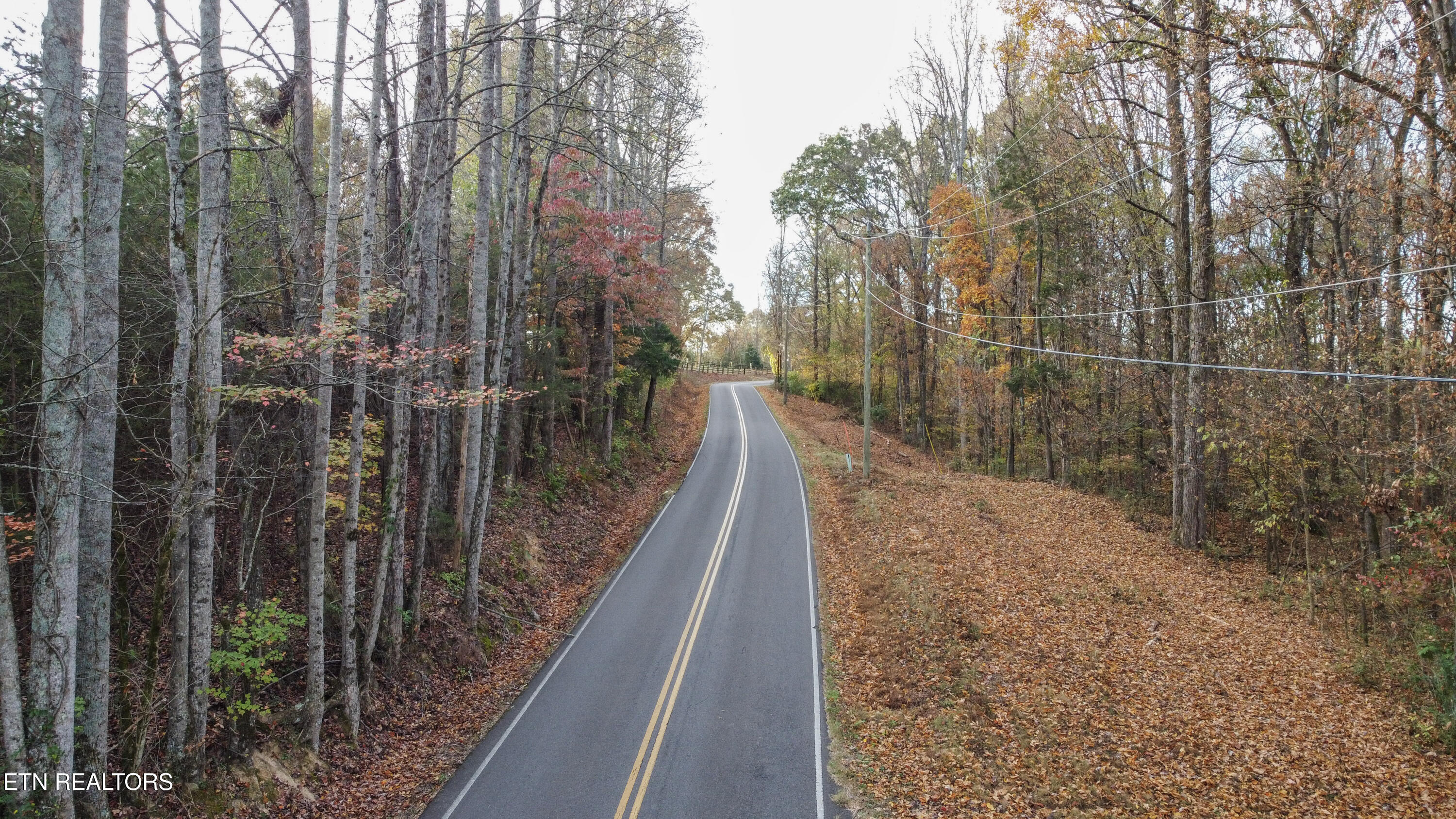 Lot 4 Parcel 059 040.02 Road Englewood, TN 37329 - Photo 8 of 12 ground