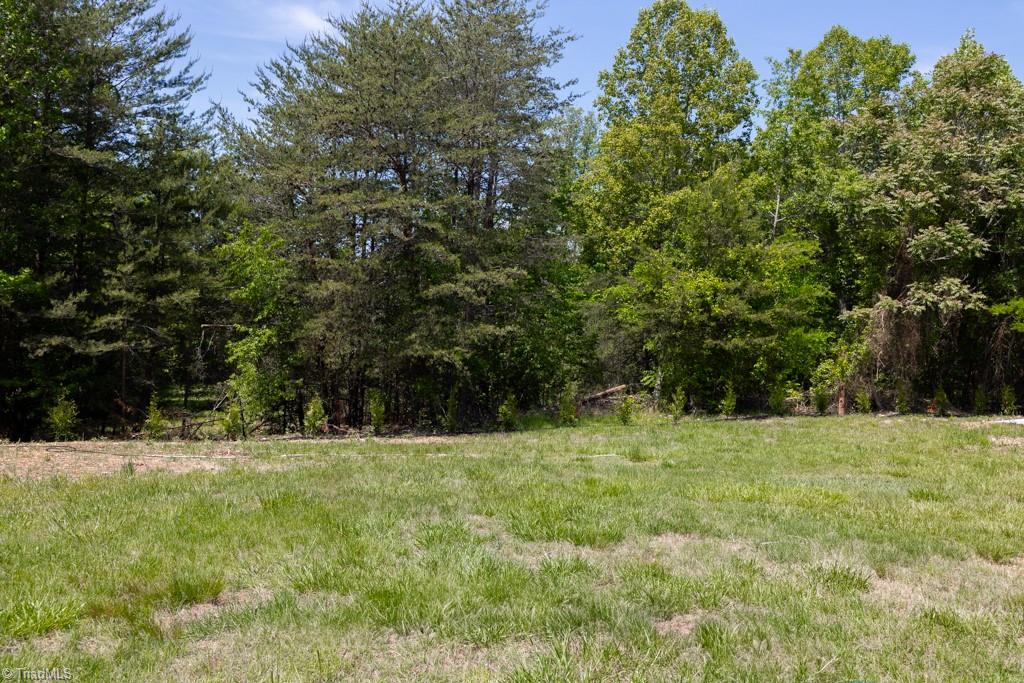 258 Buttercup Road Eden, NC 27288 - Photo 42 of 42