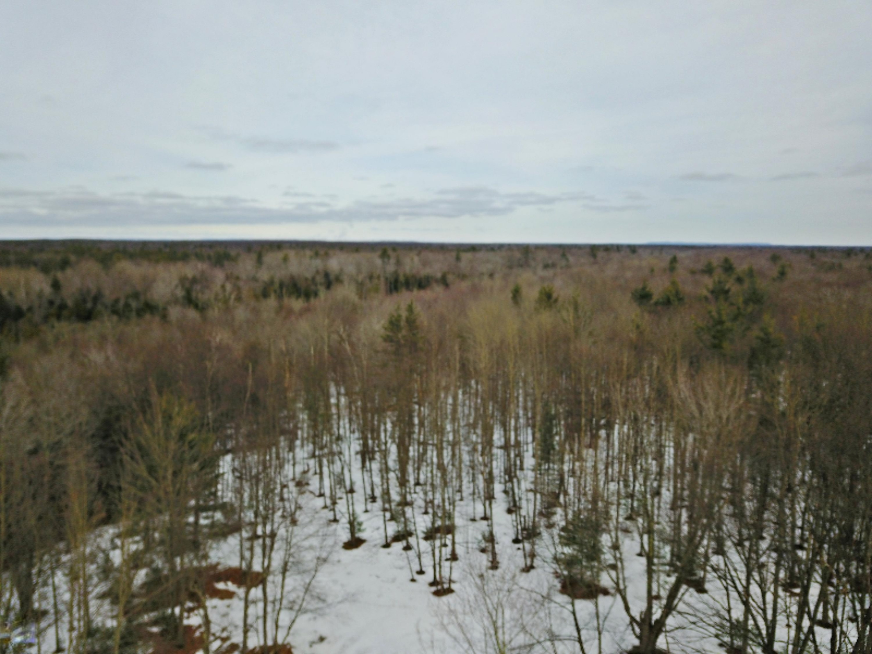 Morton Road, Unit 195 Manistee, MI 49660 - Photo 1 of 22 DJI_0013