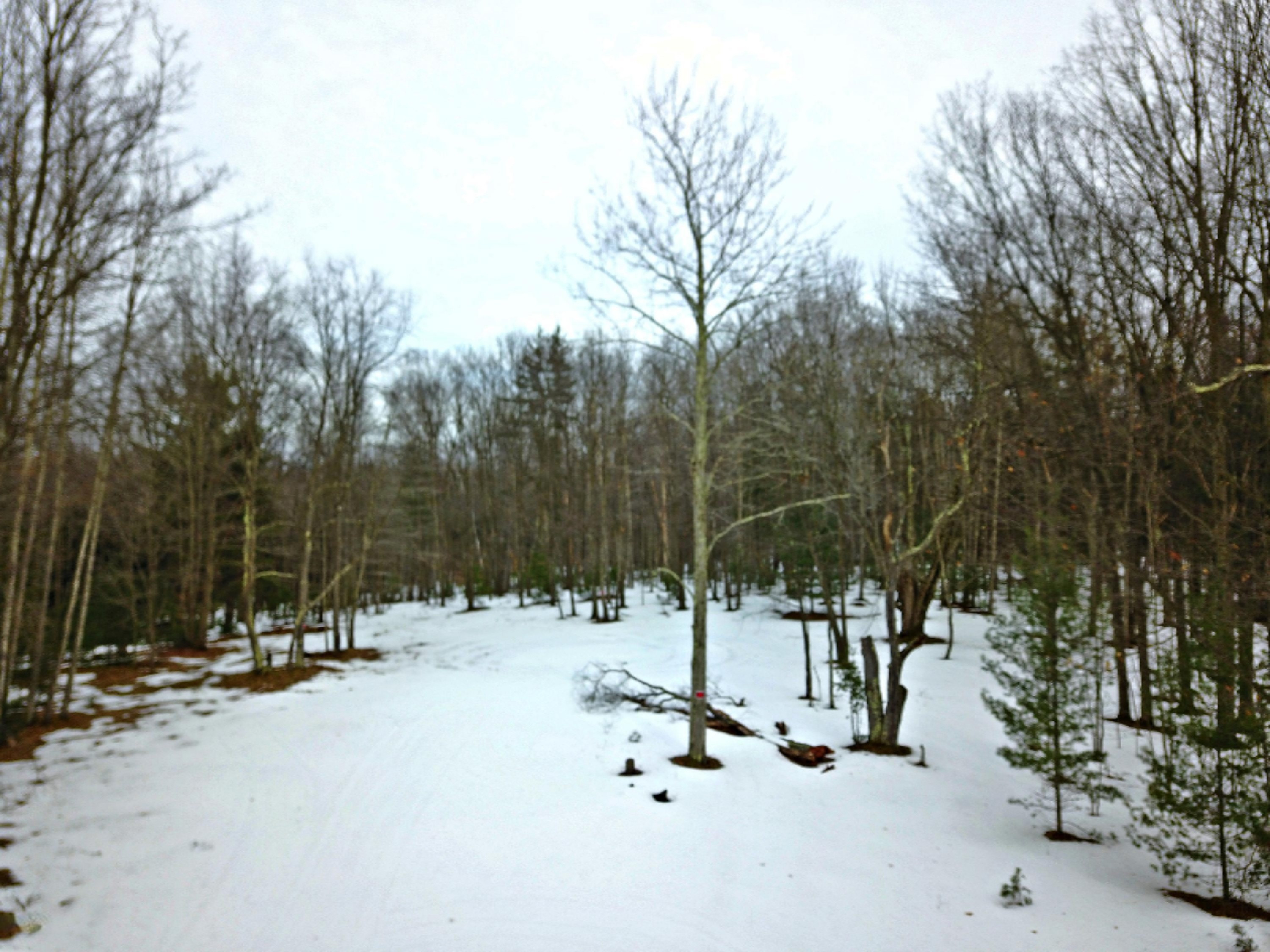 Morton Road, Unit 195 Manistee, MI 49660 - Photo 16 of 22 DJI_0011