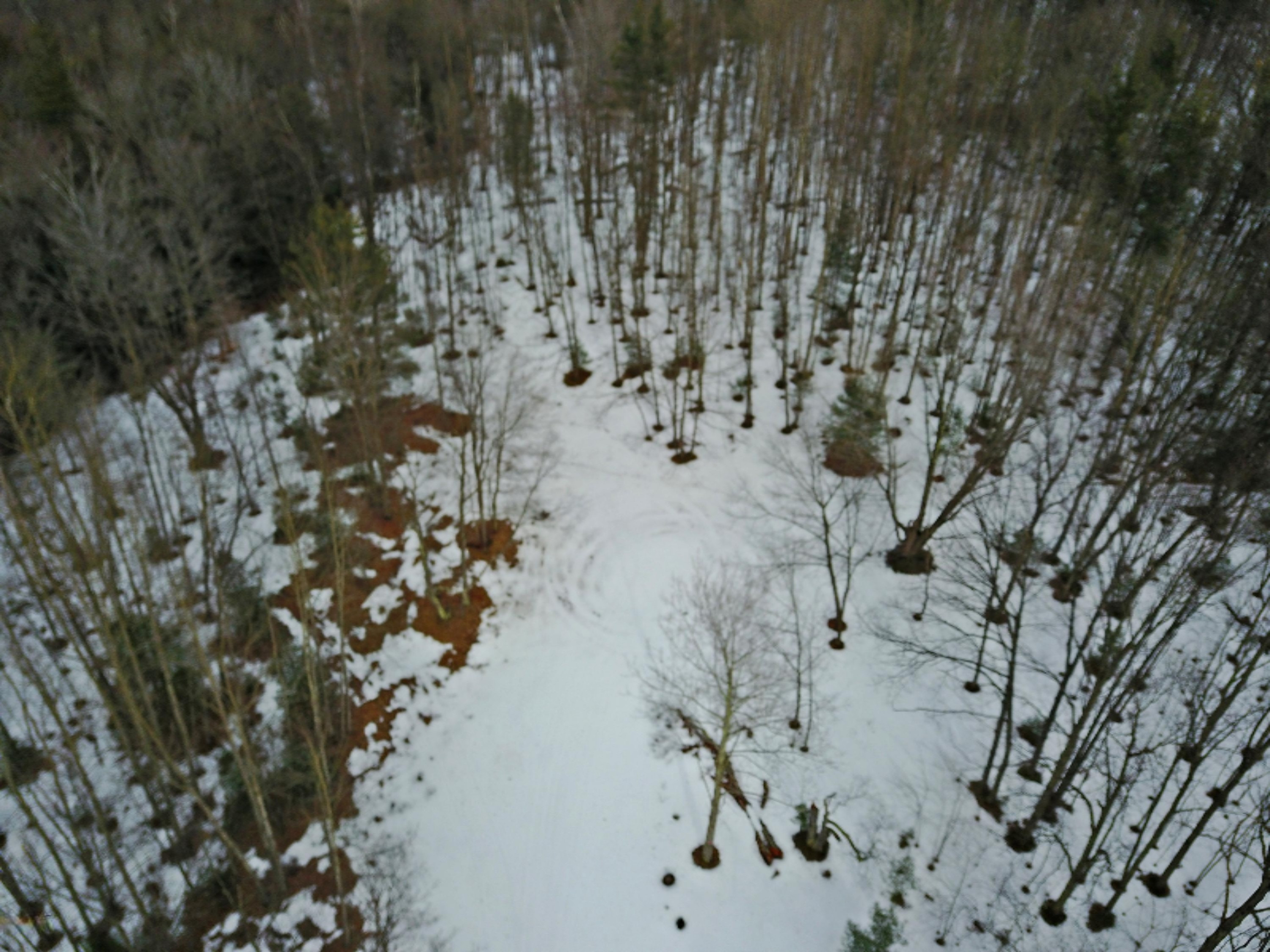 Morton Road, Unit 195 Manistee, MI 49660 - Photo 17 of 22 DJI_0014
