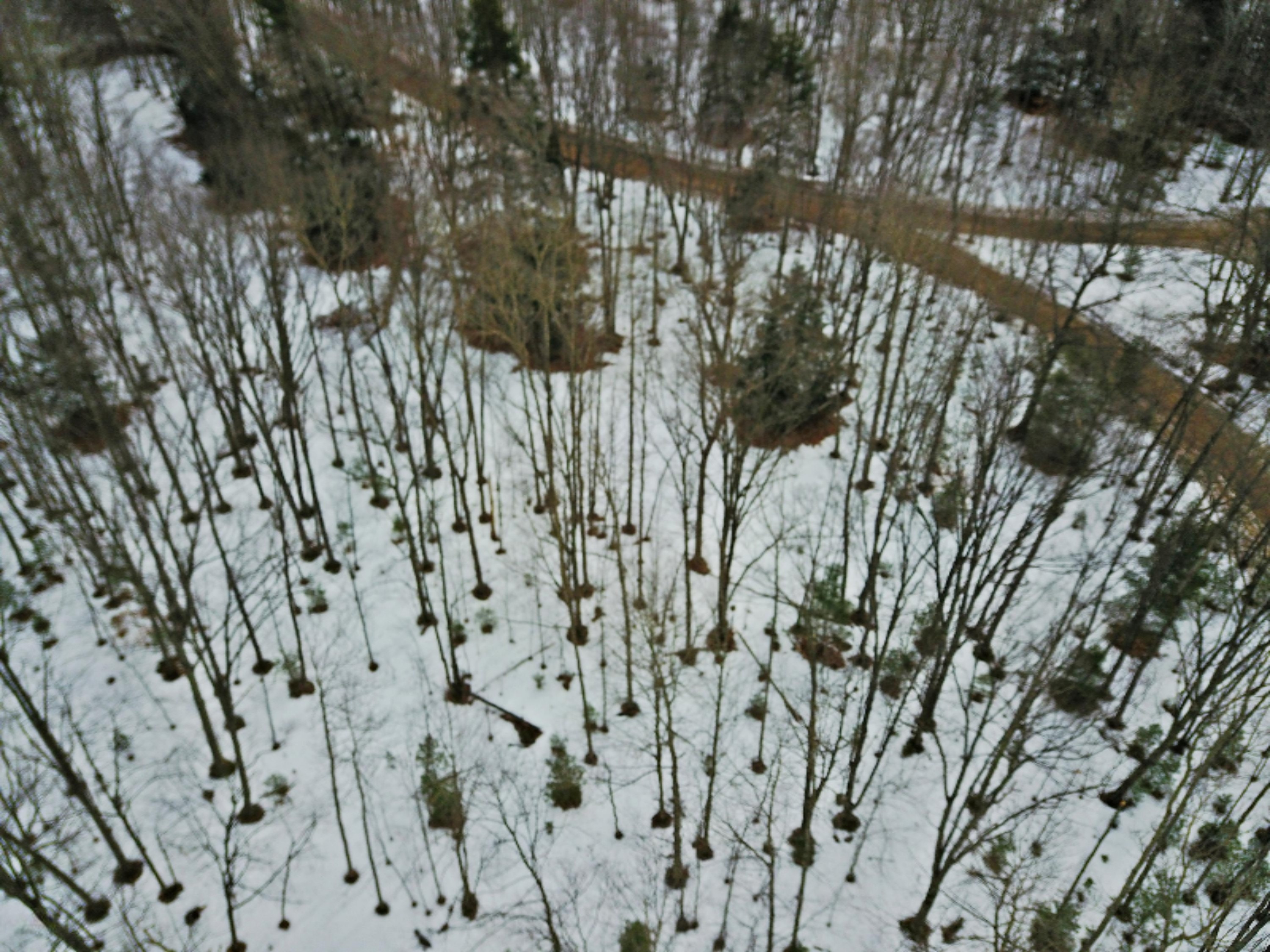 Morton Road, Unit 195 Manistee, MI 49660 - Photo 18 of 22 DJI_0016