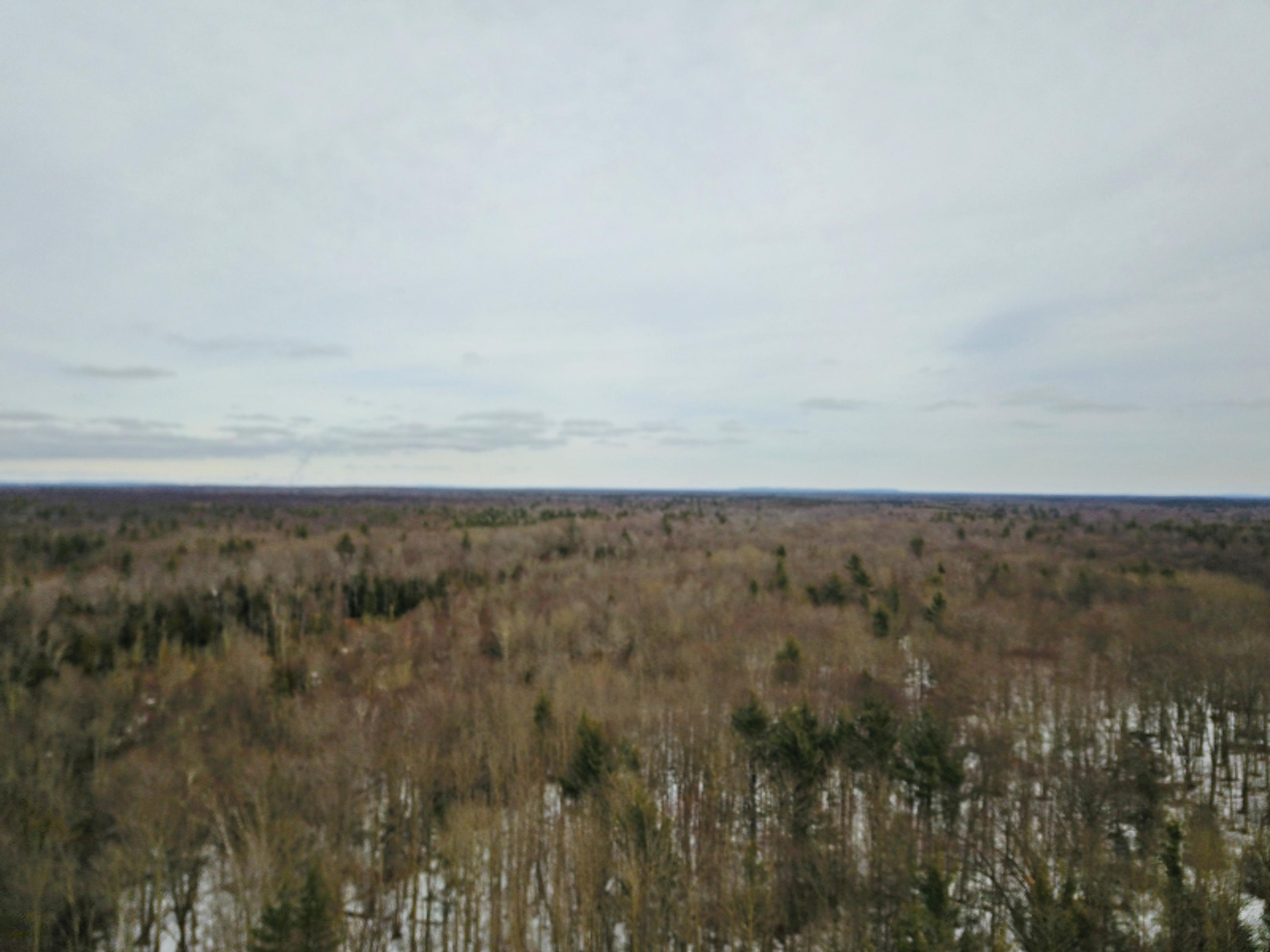 Morton Road, Unit 195 Manistee, MI 49660 - Photo 2 of 22 DJI_0021
