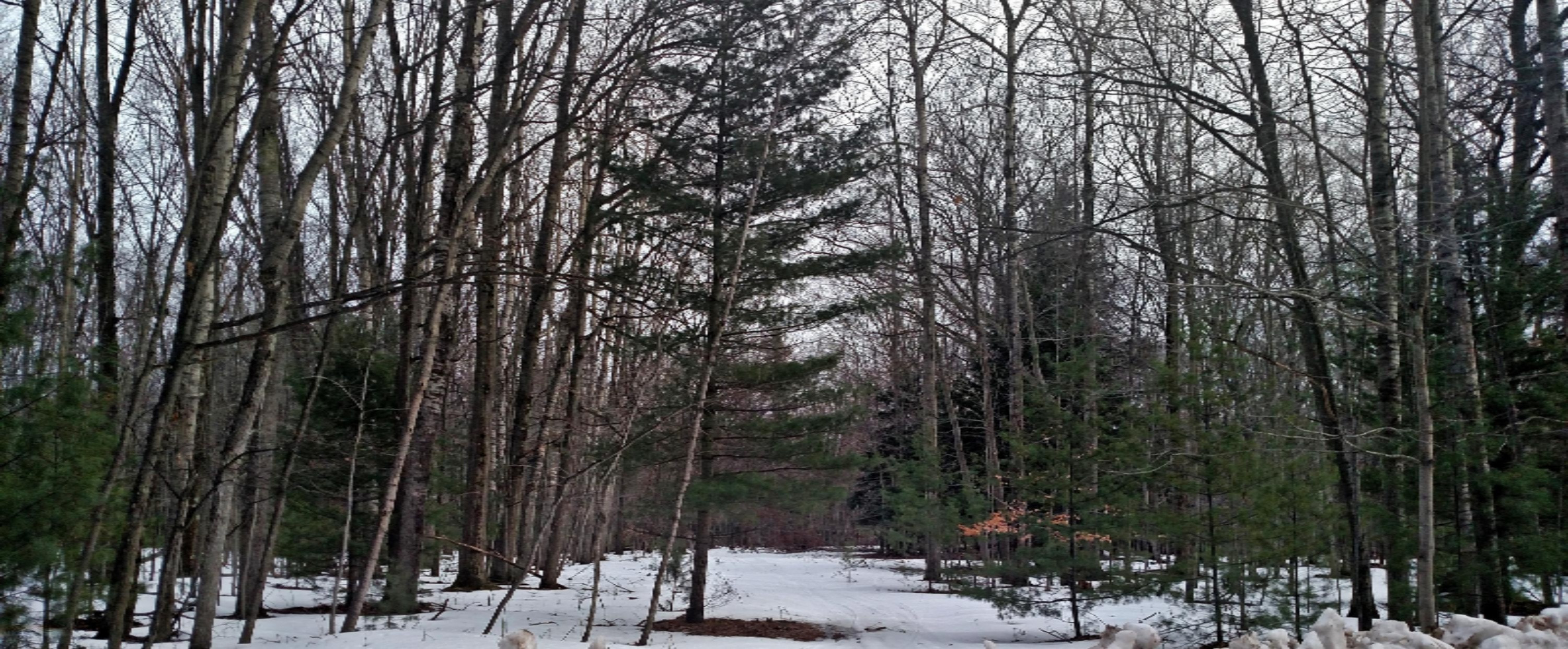 Morton Road, Unit 195 Manistee, MI 49660 - Photo 6 of 22 IMG_20180221_144448475
