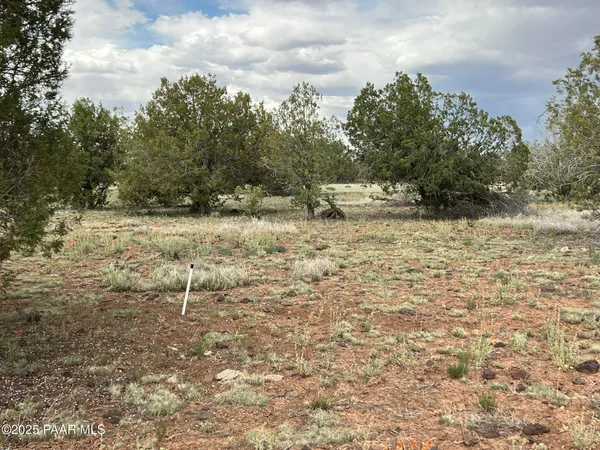 $33,000 | 2653 West Plate Road, Williams, AZ 86046