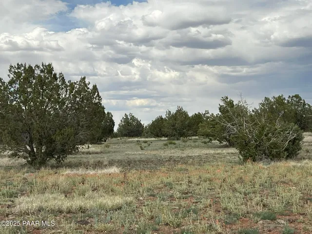 a view of dirt field with large trees