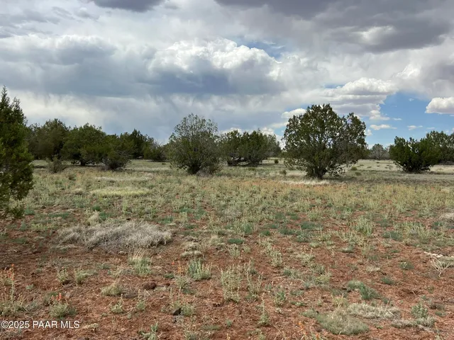 a view of a field with trees in background