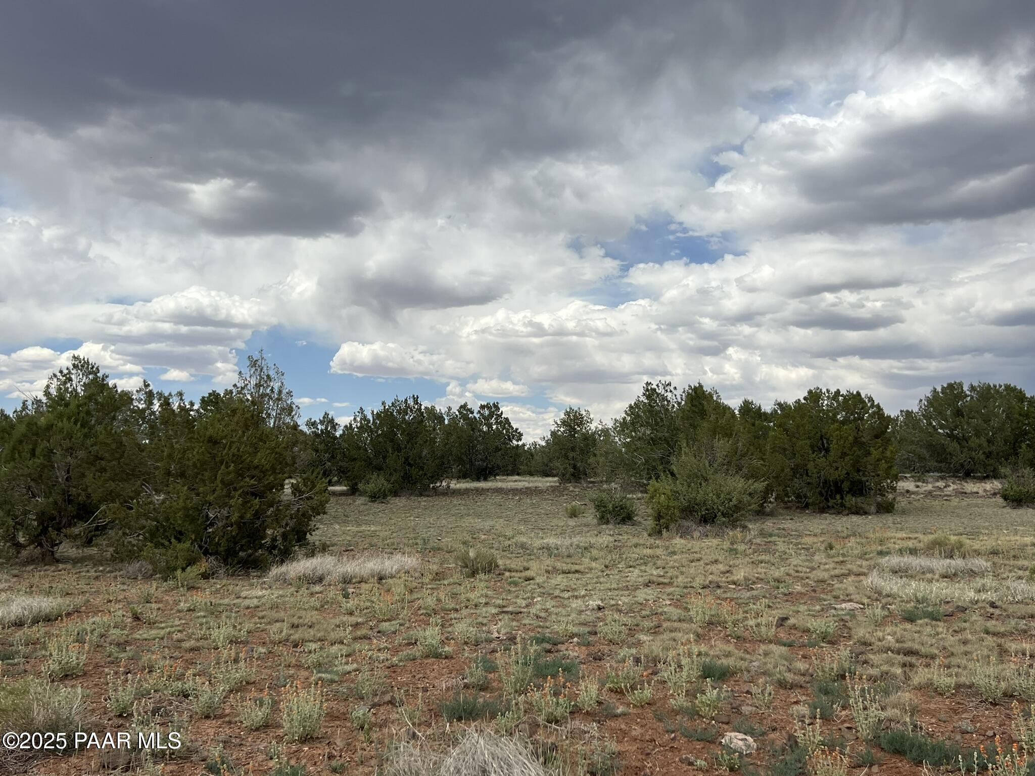 2653 West Plate Road Williams, AZ 86046 - Photo 5 of 6 a view of a dry yard with wooden fence