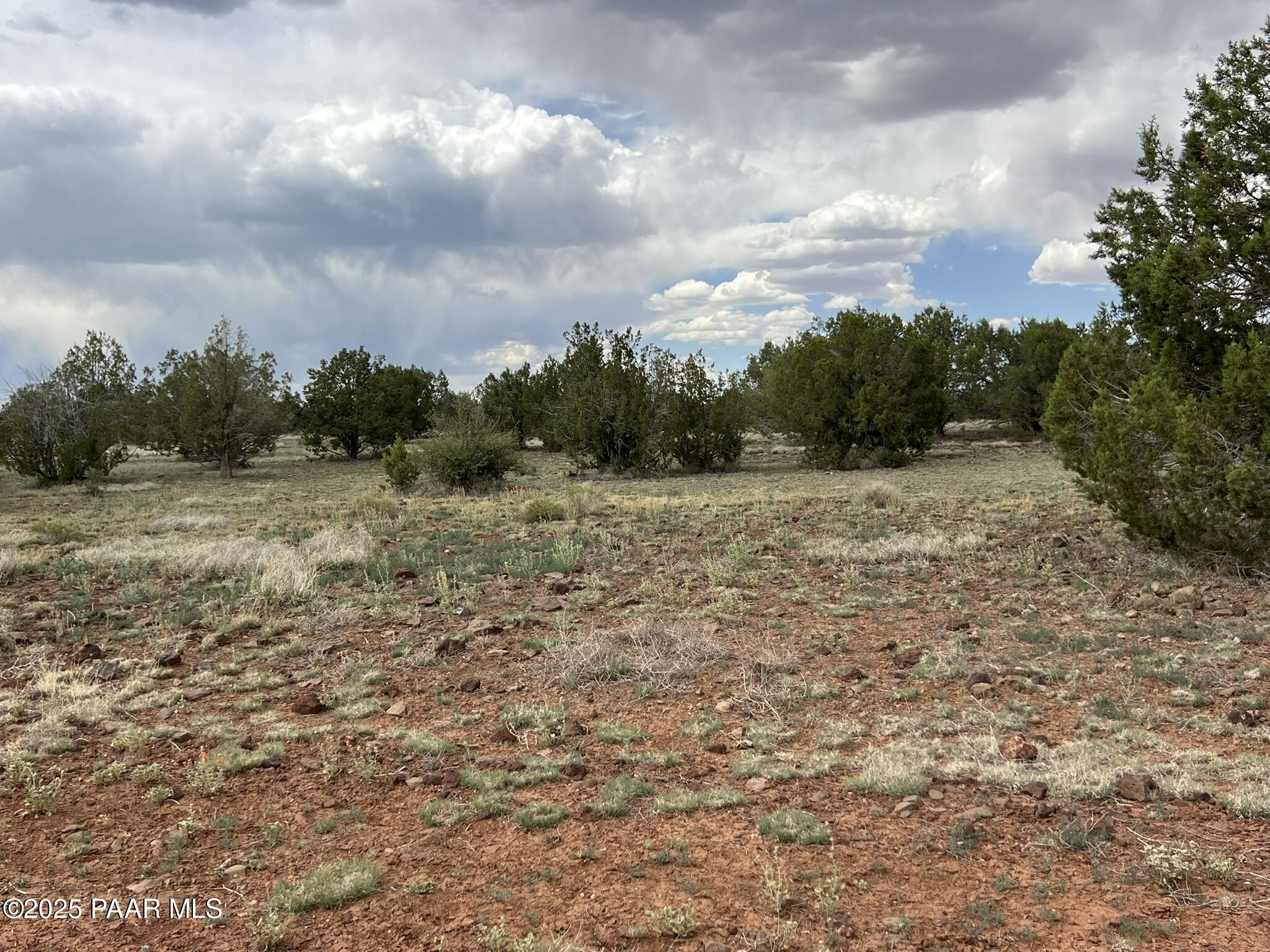 2653 West Plate Road Williams, AZ 86046 - Photo 6 of 6 a view of a field with a tree in the background
