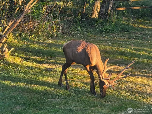 $1,295,000 | 27511 178th Street East, Carbonado, WA 98323