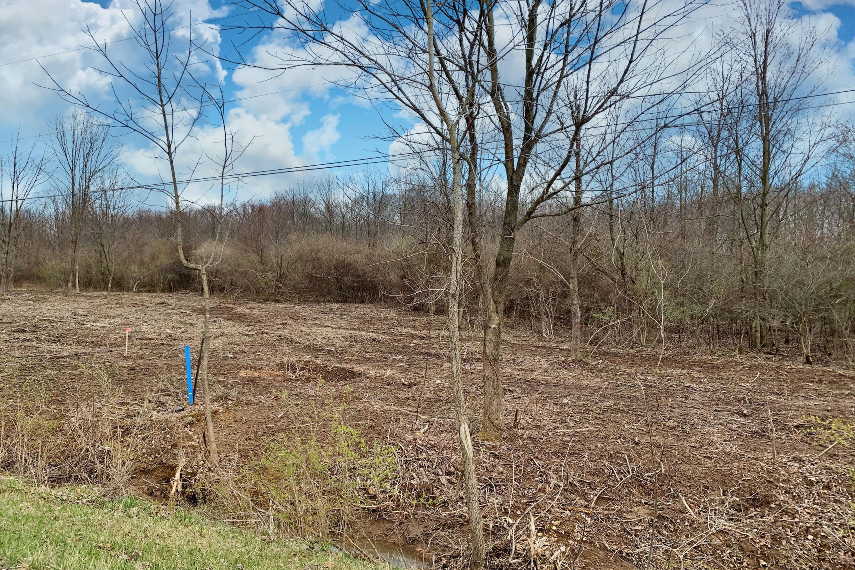 5563 Red Bank Road, Unit TRACT C Galena, OH 43021 - Photo 8 of 32 8.-NW-View-of-Lot