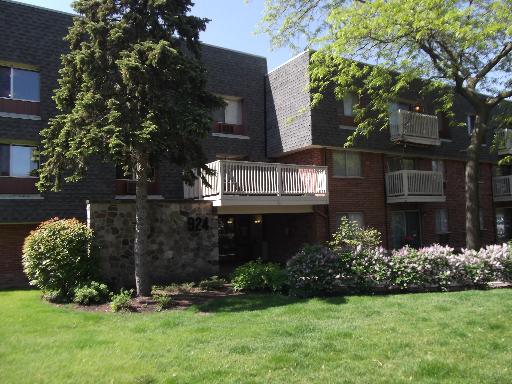 924 Ridge Square, Unit 203 Elk Grove Village, IL 60007 - Photo 1 of 1