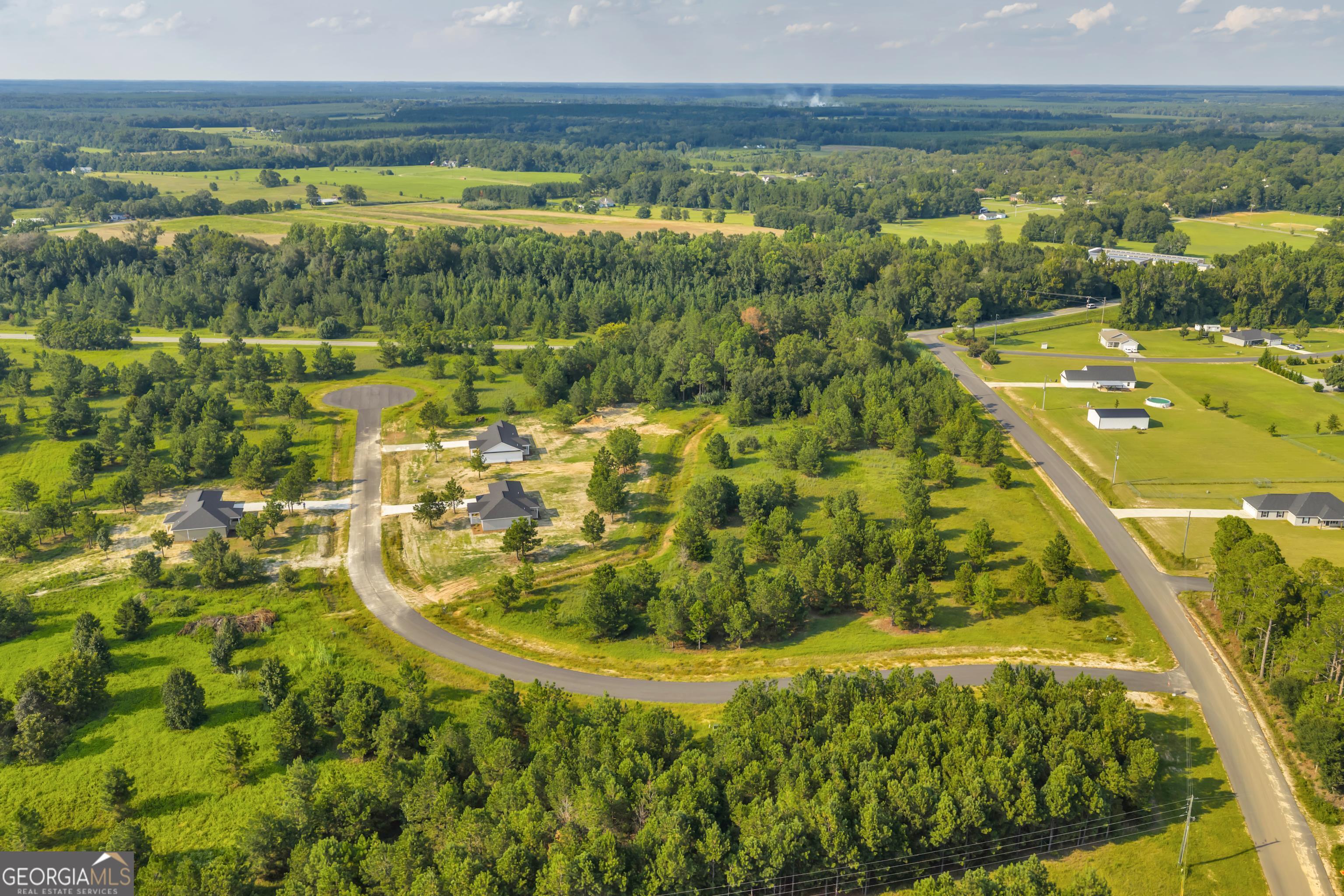 127 Lord Hatcher Drive Dexter, GA 31019 - Photo 42 of 46