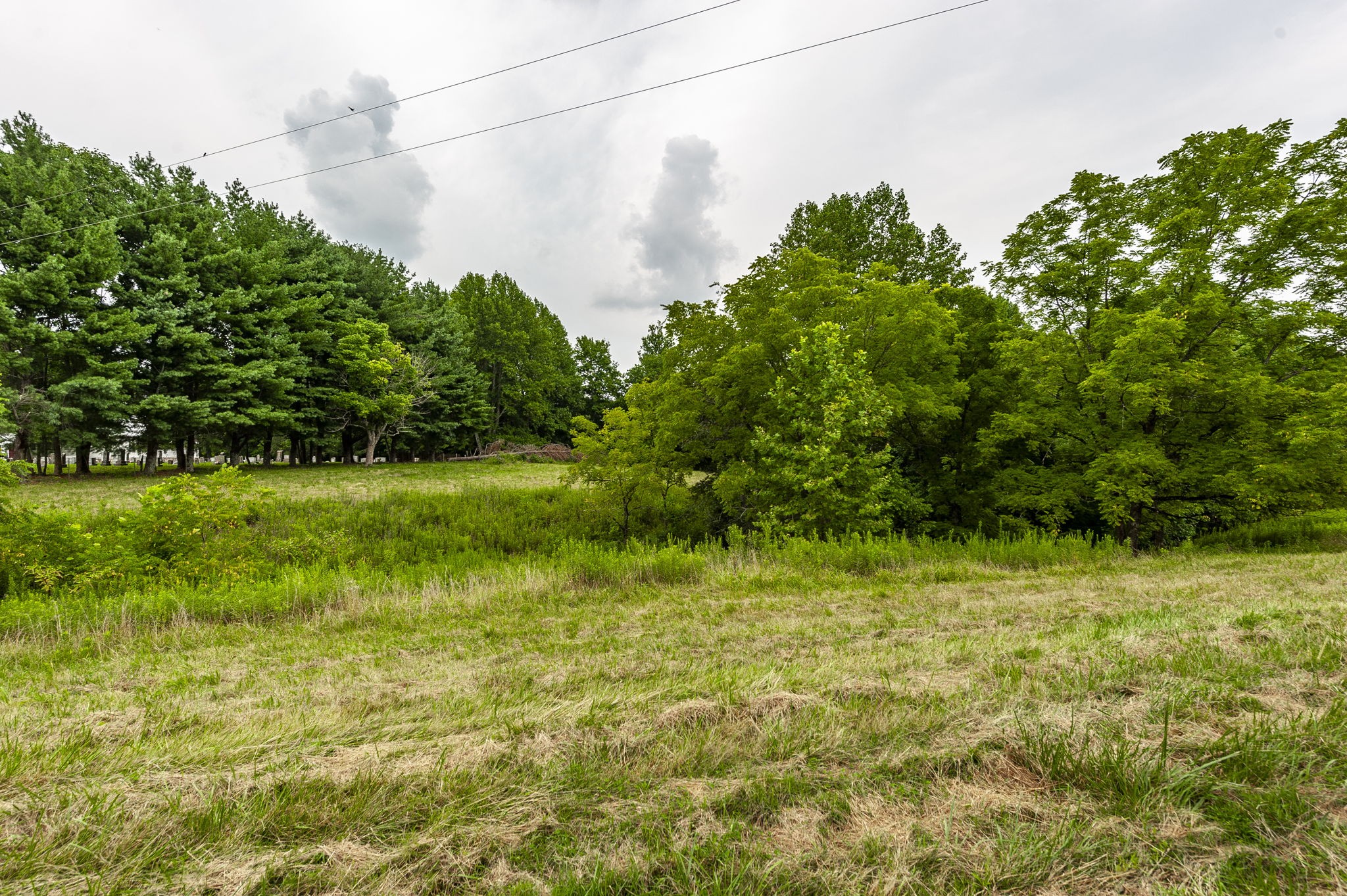 150 Mt Vernon Church Road Bethpage, TN 37022 - Photo 38 of 65 Gallery Image 38